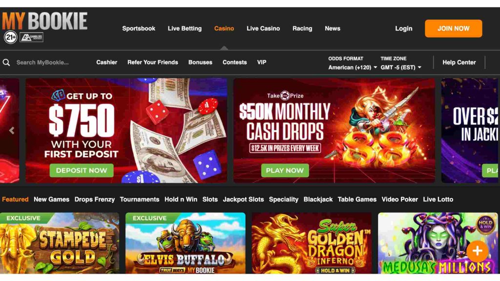 What Is MyBookie?
